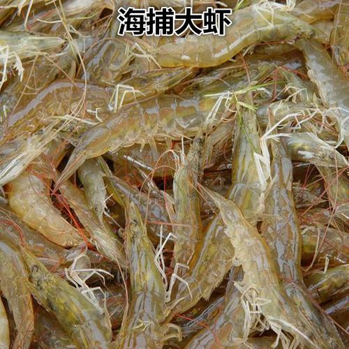 萁萁海鲜鲜活对虾新鲜冷冻水产品特大基围虾活冻虾